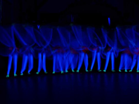 Thumbnail: _2110154.jpg