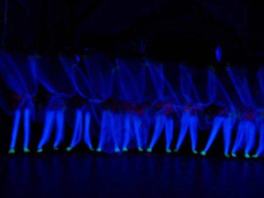 Thumbnail: _2110155.jpg