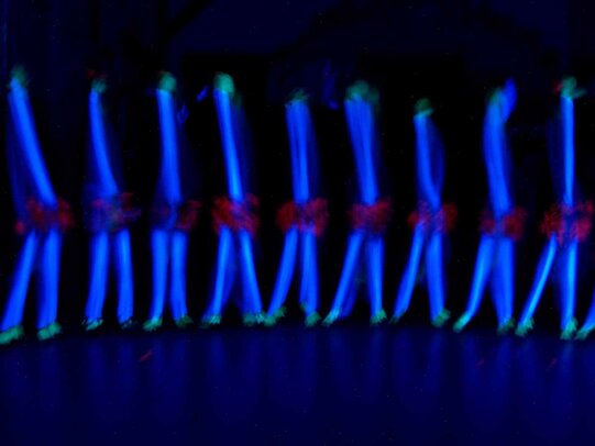 Thumbnail: _2110167.jpg