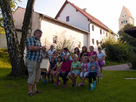 Thumbnail: _8173125.jpg