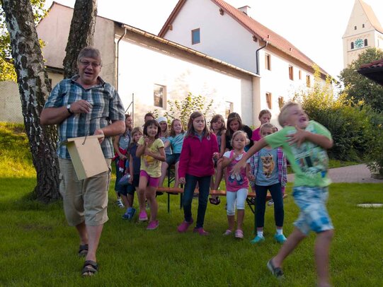 Thumbnail: _8173127.jpg