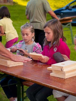 Thumbnail: _8173131.jpg