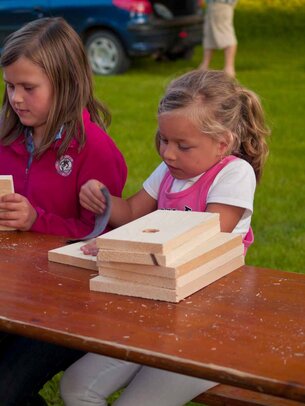 Thumbnail: _8173134.jpg