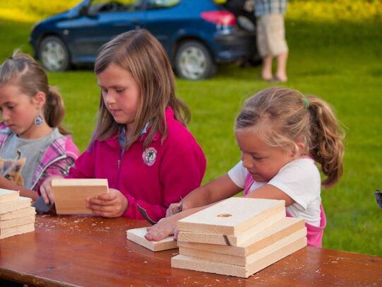 Thumbnail: _8173135.jpg