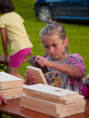 Thumbnail: _8173138.jpg