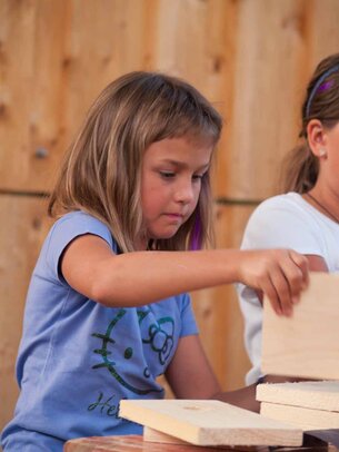 Thumbnail: _8173156.jpg