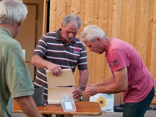 Thumbnail: _8173178.jpg