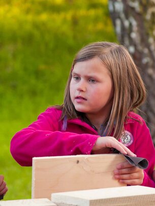 Thumbnail: _8173179.jpg