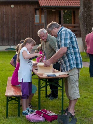 Thumbnail: _8173203.jpg