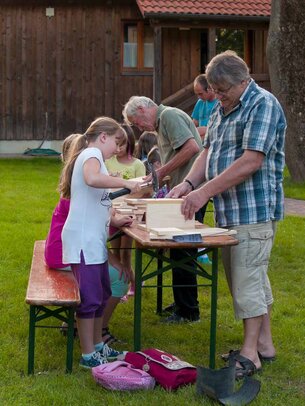 Thumbnail: _8173220.jpg