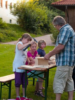 Thumbnail: _8173225.jpg