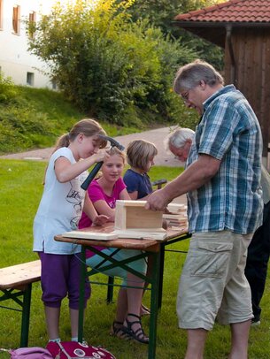 Thumbnail: _8173227.jpg