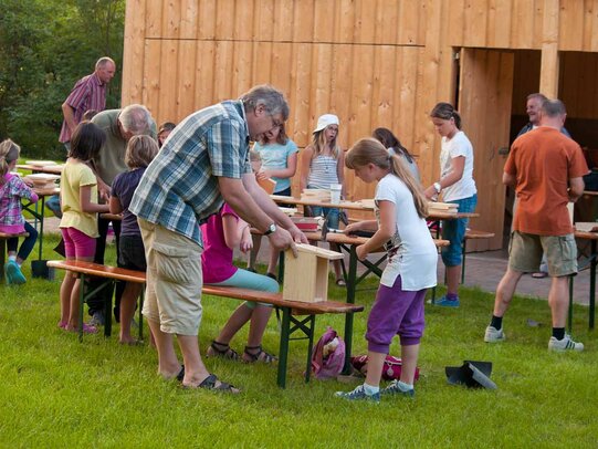 Thumbnail: _8173247.jpg