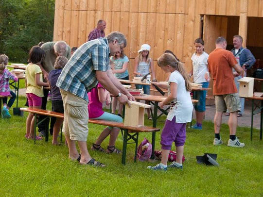 Thumbnail: _8173249.jpg