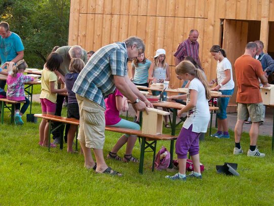 Thumbnail: _8173250.jpg