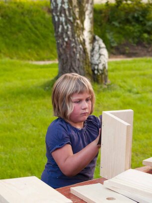 Thumbnail: _8173258.jpg