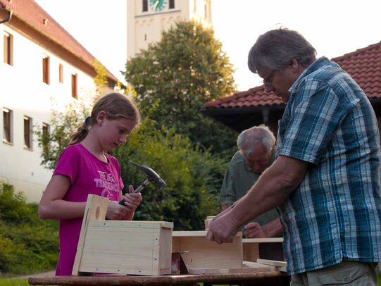 Thumbnail: _8173301.jpg