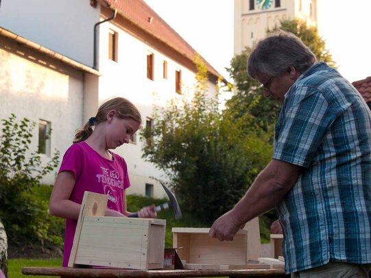 Thumbnail: _8173304.jpg