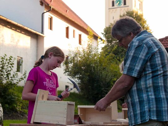 Thumbnail: _8173305.jpg