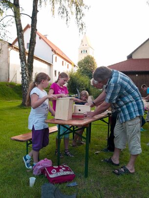 Thumbnail: _8173310.jpg