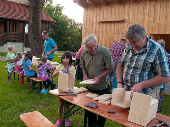 Thumbnail: _8173314.jpg