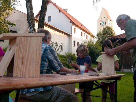 Thumbnail: _8173339.jpg