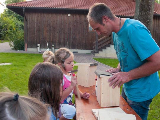 Thumbnail: _8173349.jpg