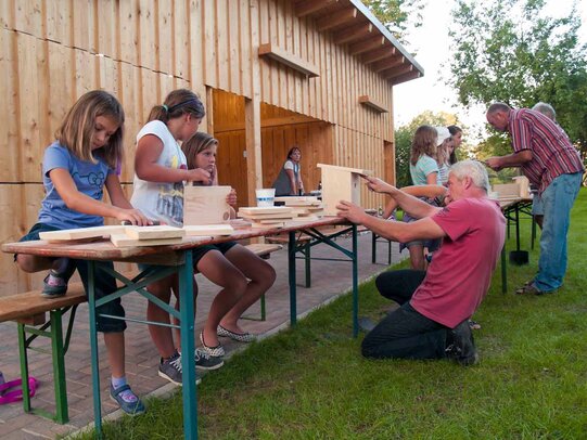 Thumbnail: _8173368.jpg