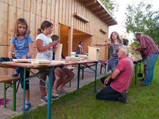 Thumbnail: _8173369.jpg