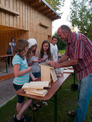 Thumbnail: _8173372.jpg