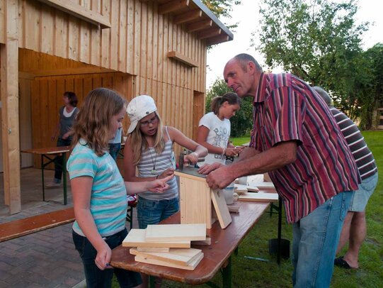 Thumbnail: _8173381.jpg