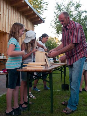 Thumbnail: _8173392.jpg