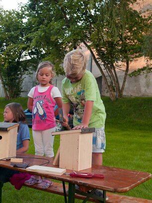 Thumbnail: _8173416.jpg