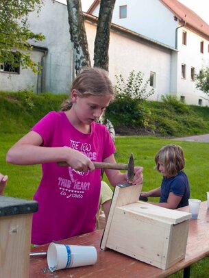 Thumbnail: _8173433.jpg