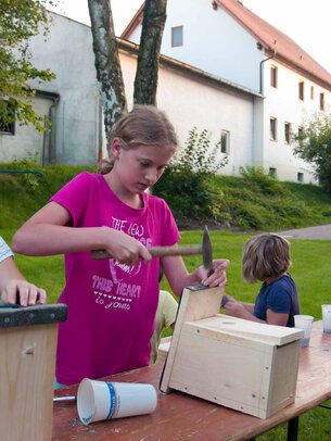 Thumbnail: _8173436.jpg