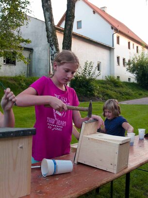 Thumbnail: _8173437.jpg