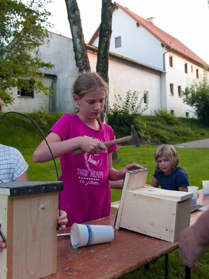 Thumbnail: _8173438.jpg