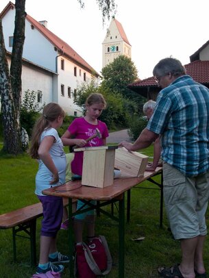 Thumbnail: _8173445.jpg