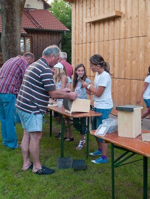 Thumbnail: _8173447.jpg