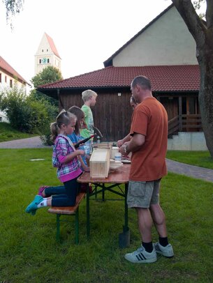 Thumbnail: _8173456.jpg