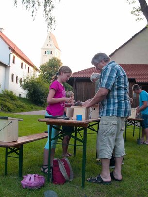 Thumbnail: _8173507.jpg