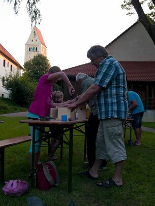 Thumbnail: _8173517.jpg