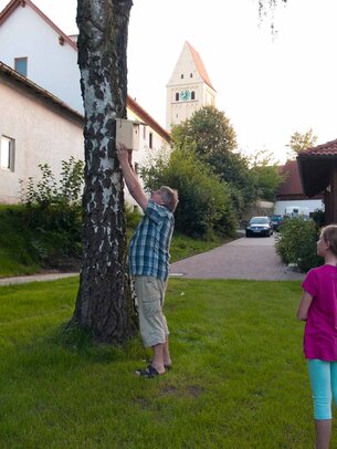 Thumbnail: _8173519.jpg