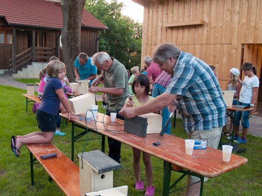 Thumbnail: _8173529.jpg