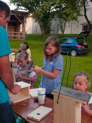 Thumbnail: _8173547.jpg