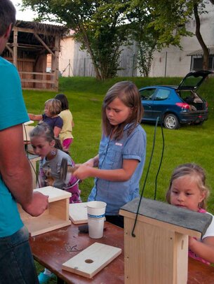 Thumbnail: _8173548.jpg