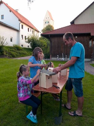 Thumbnail: _8173556.jpg