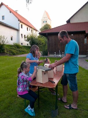 Thumbnail: _8173559.jpg