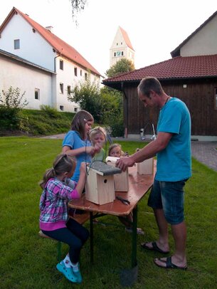 Thumbnail: _8173561.jpg