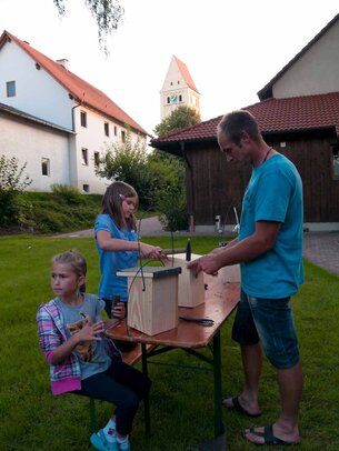 Thumbnail: _8173572.jpg